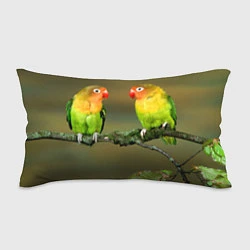 Подушка-антистресс Два попугая, цвет: 3D-принт