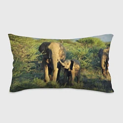 Подушка-антистресс Семья слонов в природе, цвет: 3D-принт