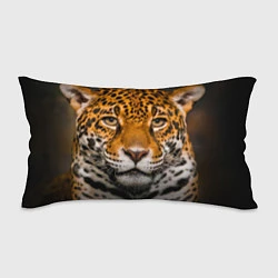 Подушка-антистресс Взгляд ягуара, цвет: 3D-принт