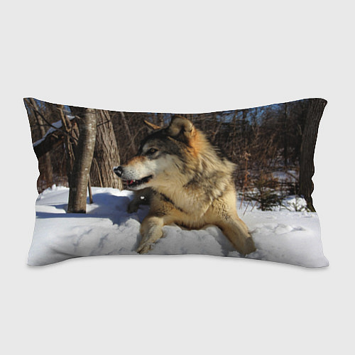 Подушка-антистресс Волк лежит на снегу / 3D-принт – фото 1