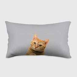 Подушка-антистресс Рыжий котик, цвет: 3D-принт