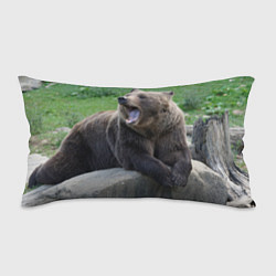 Подушка-антистресс Медведь, цвет: 3D-принт