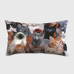 Подушка-антистресс КОТЯТКИ, цвет: 3D-принт
