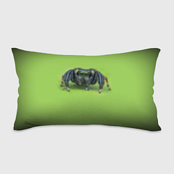 Подушка-антистресс ПАУК С ГЛАЗКАМИ