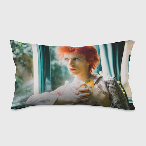 Подушка-антистресс David Bowie in Haddon Hall / 3D-принт – фото 1