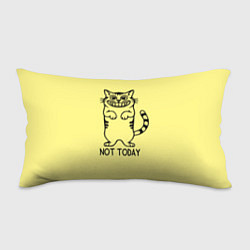 Подушка-антистресс Хитрый кот, цвет: 3D-принт