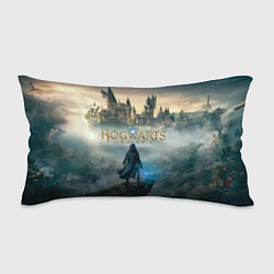 Подушка-антистресс Герой Hogwarts legacy