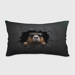 Подушка-антистресс Капибара в стене, цвет: 3D-принт