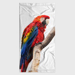 Бандана-труба Яркий попугай, цвет: 3D-принт — фото 2