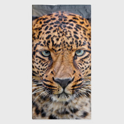Бандана-труба Грустный леопард, цвет: 3D-принт — фото 2