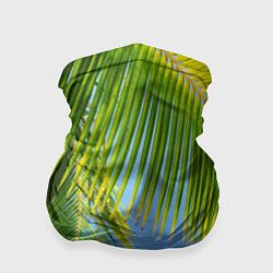 Бандана-труба Пальма у неба, цвет: 3D-принт