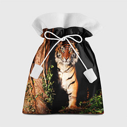 Подарочный мешок Тигр выглядывает из темноты - большая картинка