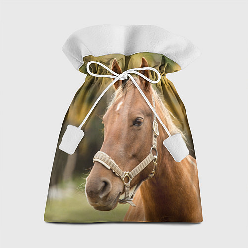 Подарочный мешок Взгляд лошади / 3D-принт – фото 1