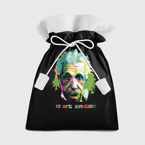 Подарочный мешок Albert Einstein / 3D-принт – фото 1