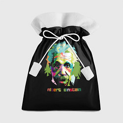 Подарочный мешок Albert Einstein