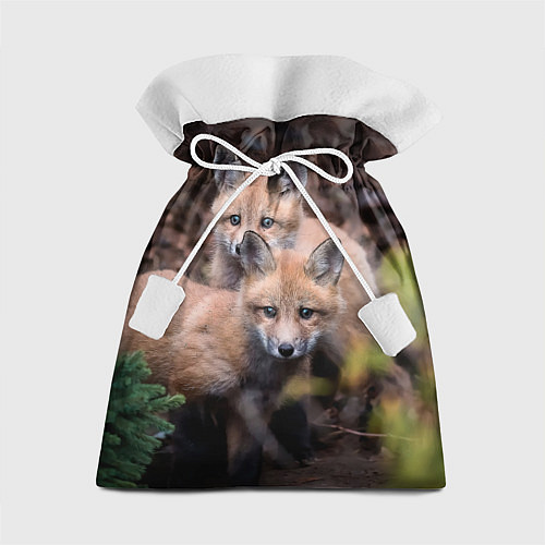 Подарочный мешок Лисички фото / 3D-принт – фото 1