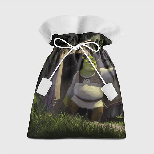 Подарочный мешок Shrek: Somebody Once Told Me / 3D-принт – фото 1