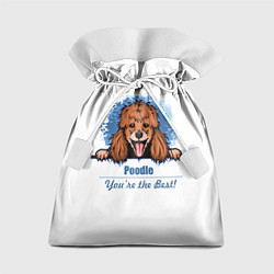 Мешок для подарков Собака Пудель Poodle, цвет: 3D-принт
