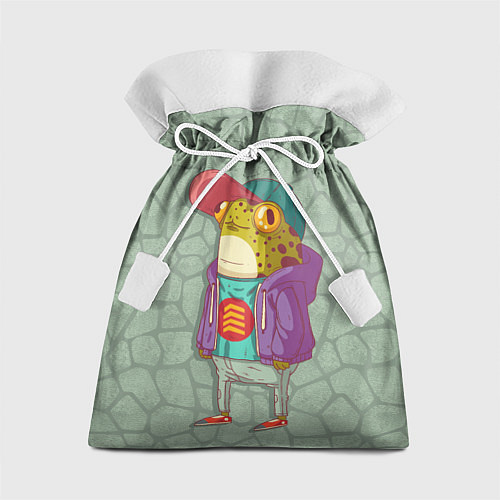 Подарочный мешок Лягуха-репер / 3D-принт – фото 1