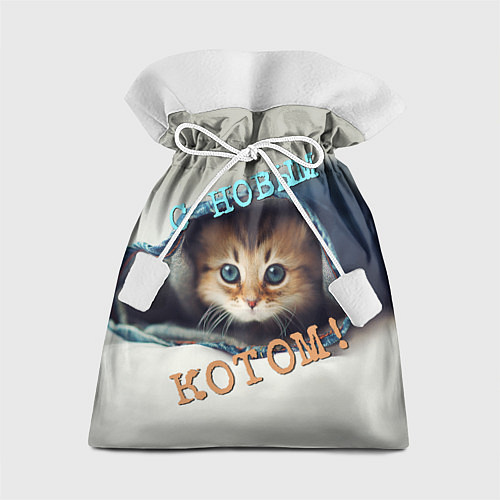 Подарочный мешок С новым котом / 3D-принт – фото 1