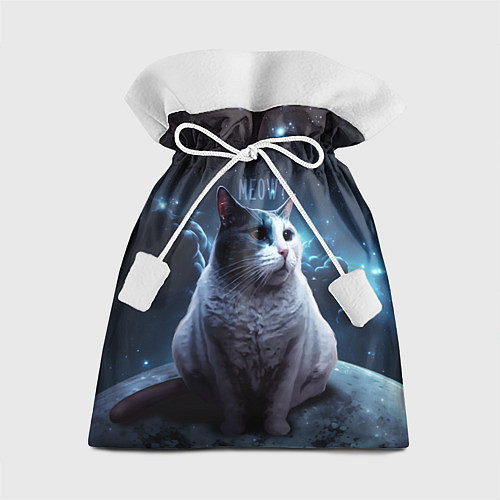 Подарочный мешок Мемный кот в космосе / 3D-принт – фото 1