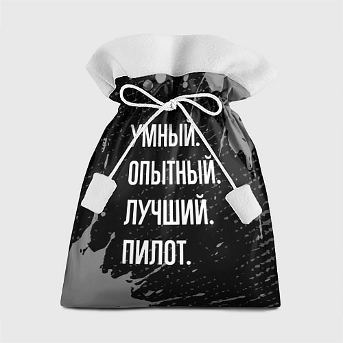 Подарочный мешок Умный опытный лучший: пилот / 3D-принт – фото 1