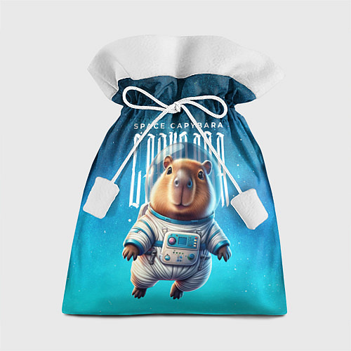 Подарочный мешок Space capybara / 3D-принт – фото 1