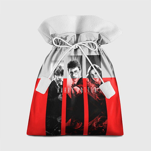 Подарочный мешок Гарри Поттер и его друзья / 3D-принт – фото 1