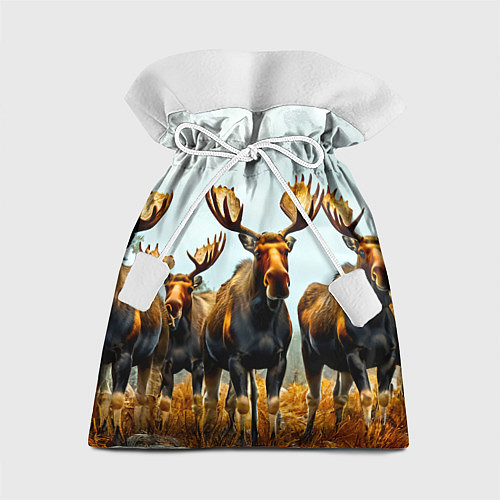 Подарочный мешок Лоси / 3D-принт – фото 1