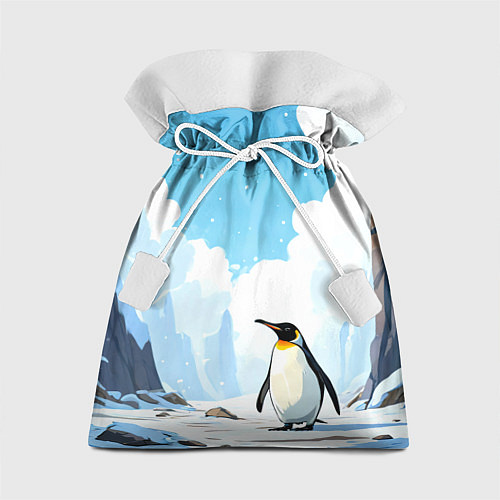 Подарочный мешок Пингвин в Антарктиде / 3D-принт – фото 1