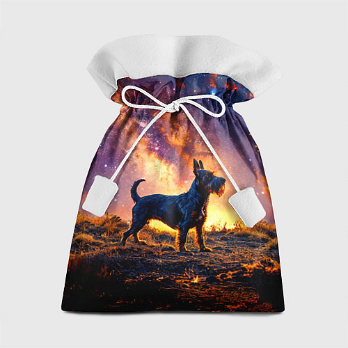 Подарочный мешок Скотч-терьер в космосе / 3D-принт – фото 1