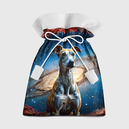Подарочный мешок Уиппет в космосе / 3D-принт – фото 1