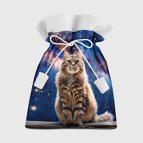 Подарочный мешок Сибирская кошка в космосе / 3D-принт – фото 1