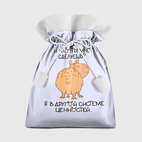 Подарочный мешок Капибара: что ты мне сделаешь я в другой системе / 3D-принт – фото 1
