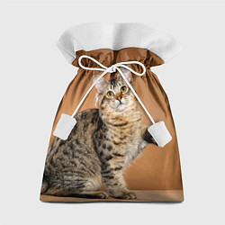Мешок для подарков Кот дает лапу, цвет: 3D-принт