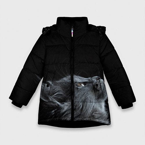 Зимняя куртка для девочки Морда / 3D-Черный – фото 1