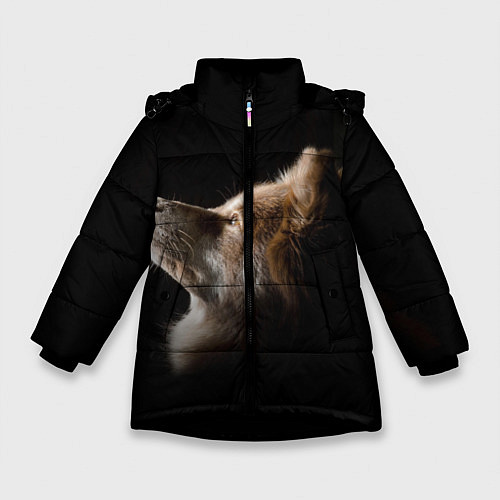 Зимняя куртка для девочки Пес / 3D-Черный – фото 1