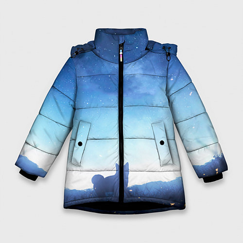 Зимняя куртка для девочки Силуэт корги ночь космос дымка / 3D-Черный – фото 1