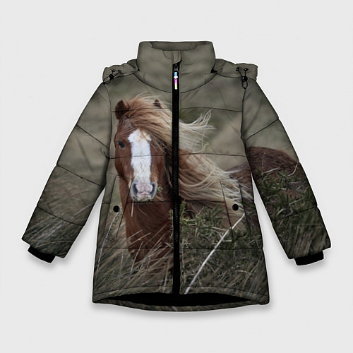 Зимняя куртка для девочки Конь / 3D-Черный – фото 1