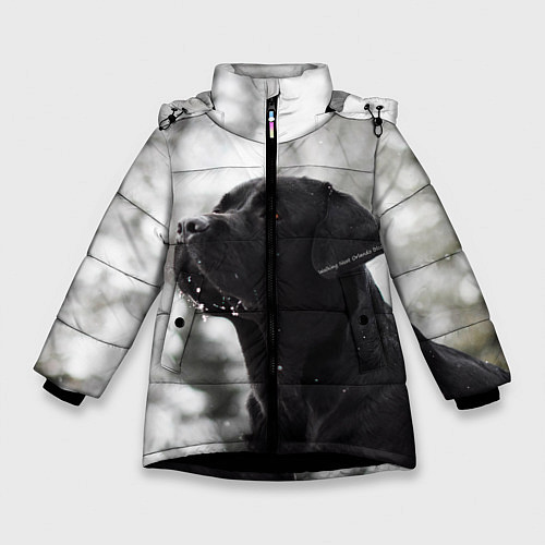 Зимняя куртка для девочки Лабрадор Марк / 3D-Черный – фото 1