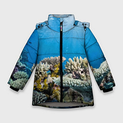 Куртка зимняя для девочки Кораллы в тропических водах индийского океана, цвет: 3D-светло-серый