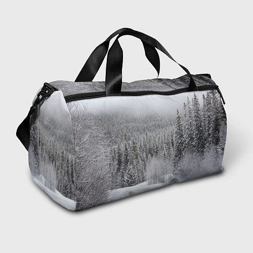 Спортивная сумка Зимняя природа / 3D-принт – фото 1