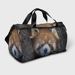 Спортивная сумка Крaсная панда