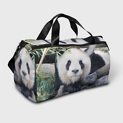 Спортивная сумка Панда отдыхает
