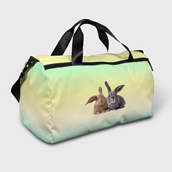 Спортивная сумка Два пушистых кролика