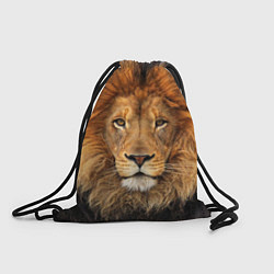 Рюкзак-мешок Красавец лев, цвет: 3D-принт