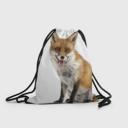 Рюкзак-мешок Голодный лис, цвет: 3D-принт