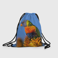 Рюкзак-мешок Попугай на солнце, цвет: 3D-принт