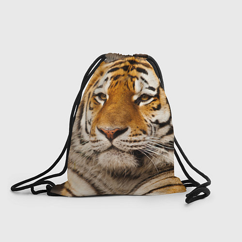 Мешок для обуви Мудрый тигр / 3D-принт – фото 1