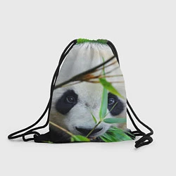 Мешок для обуви Панда в лесу